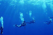 ���������Ari������Ǳˮ��