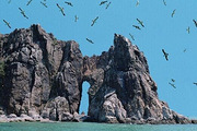 ��̨�г���Ǳˮ��