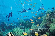 <b>���ɱ�PUERTO GALERAǱˮ��</b>