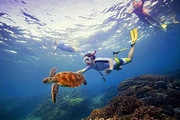 <b>�Ĵ�����ħɽǱˮ��</b>