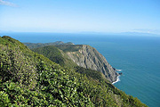 ��������Ƥ�ٵ�Kapiti IslandǱˮ��