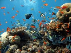 �Һ��������Һ�Σ��Ҫ�����ж��ĺ�������