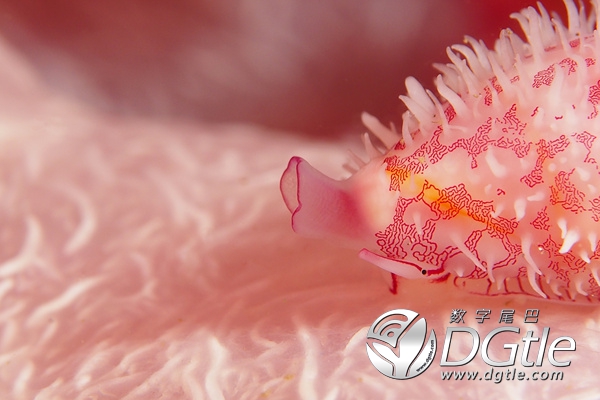 _B090165.jpg