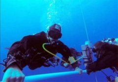 ��������Ǳ��305����״������¼